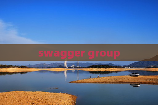swagger group swagger group